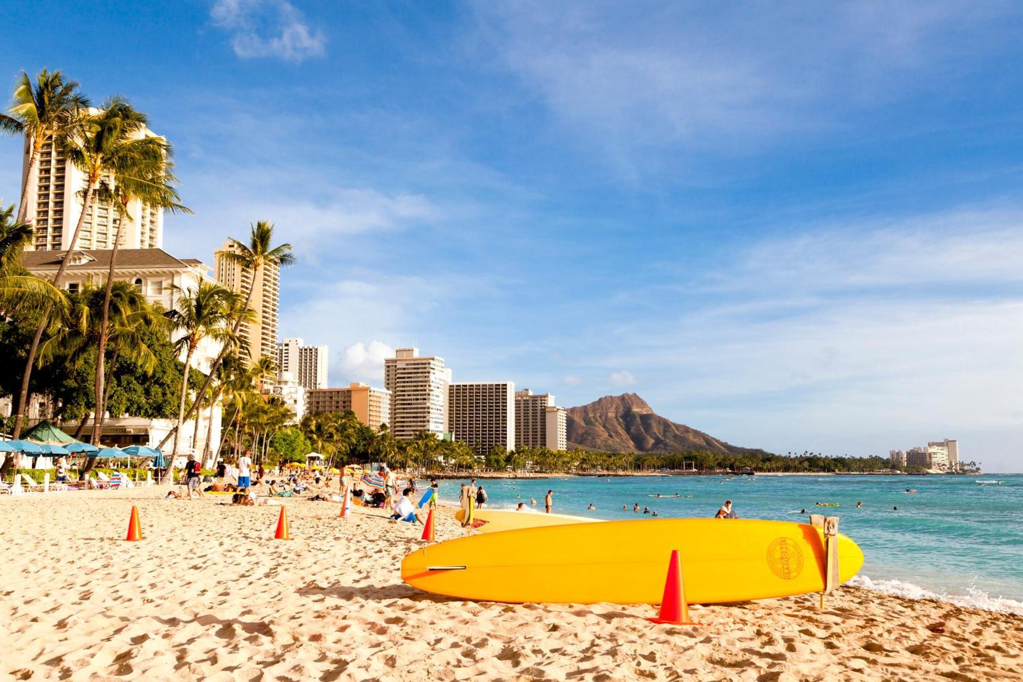 Appartement Stylish With Mountain Views In Waikiki Banyan! *