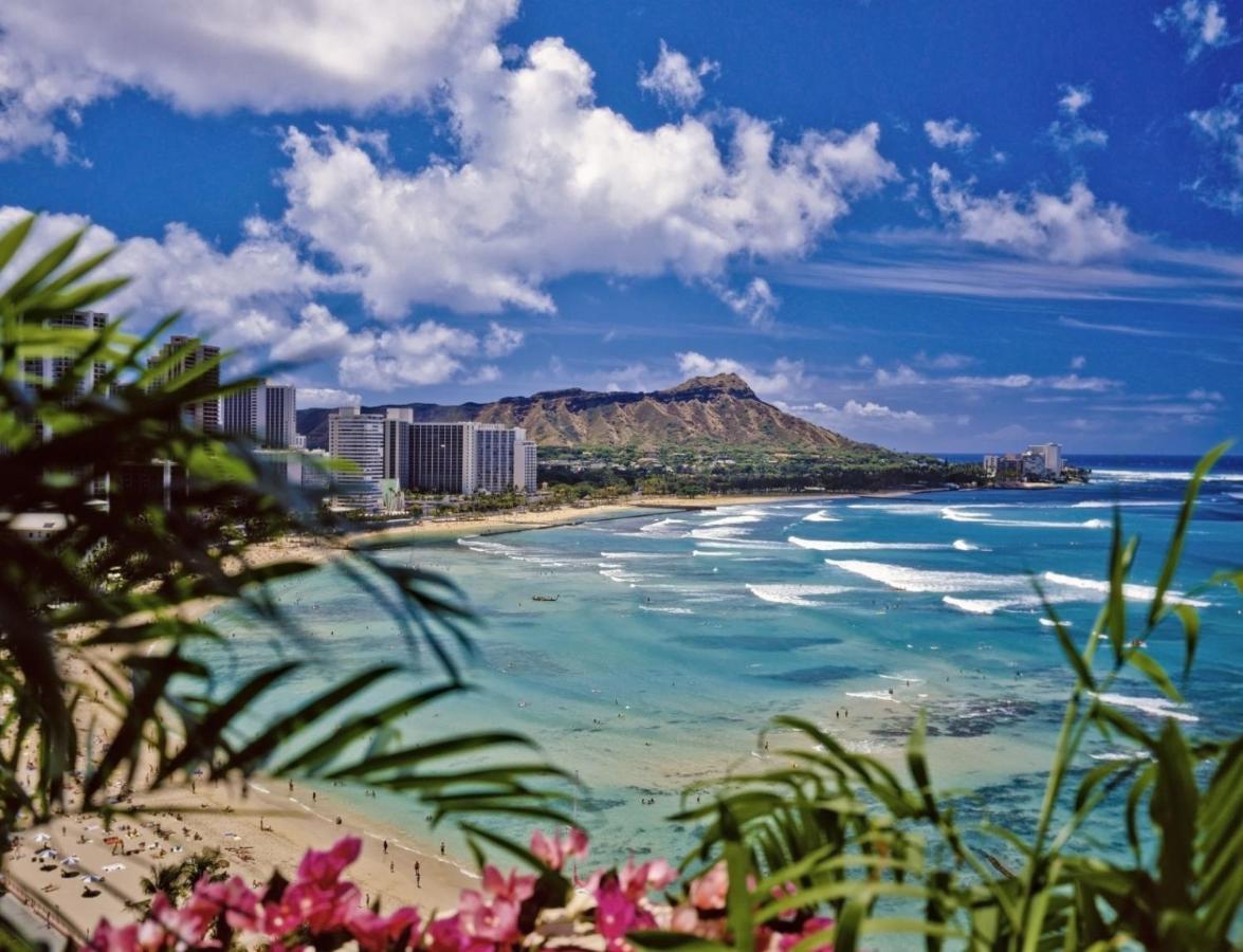Stylish With Mountain Views In Waikiki Banyan! Honolulu